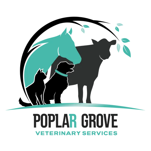 Poplar Grove Veterinary Services